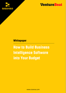 How to Build Business Intelligence Software into Your Budget