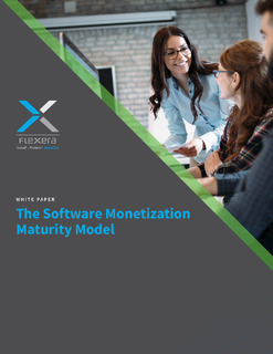 The Software Monetization Maturity Model