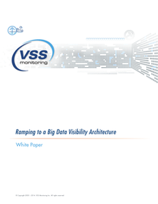 Ramping Your Organization to a Big Data Visibility Architecture