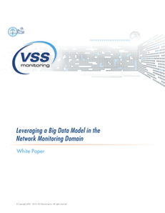 How to Leverage a Big Data Model in the Network Monitoring Domain