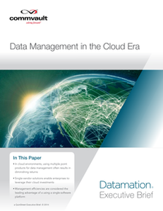 Data Management in the Cloud Era