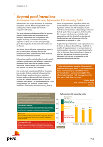 Beyond Good Intentions:  An Introduction to the 2014 Information Risk Maturity Index