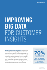 Improving Big Data for Customer Insights