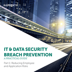 Practical Guide to IT Security Breach Prevention Part I: Reducing Employee and Application Risks