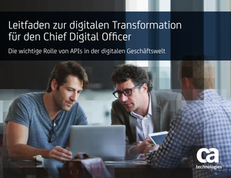 The Chief Digital Officer’s Guide to Digital Transformation