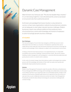 Dynamic Case Management