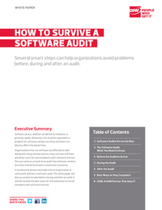 How to Survive a Software Audit