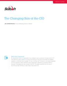 The Changing Role of the CIO