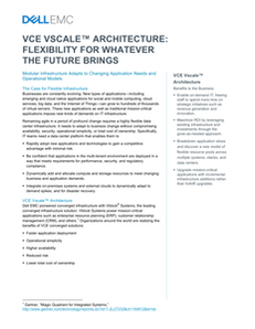 VCE Vscale Architecture: Flexibility for Whatever the Future Brings