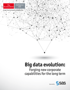 Big Data Evolution: Forging New Corporate Capabilities for the Long Term
