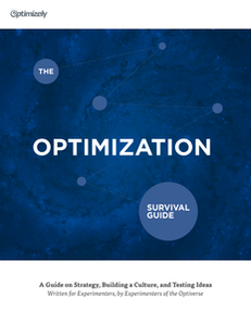 The Website Optimization Survival Guide