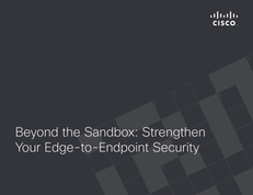 Beyond the Sandbox: Strengthen Your Edge-to-Endpoint Security