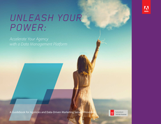 Unleash Your Power: Accelerate Your Agency with a Data Management Platform
