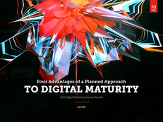 Four Advantages of a Planned Approach to Digital Maturity