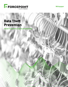 Data Theft Prevention: The Key to Security, Growth & Innovation