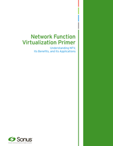 Network Function Virtualization Primer