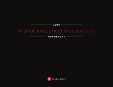 small investment that pays big ROI REPORT 2016