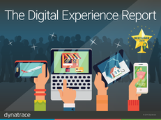Best of the Web: The 2016 Digital Performance Report