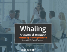 Whaling: Anatomy of an Attack