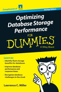 Optimizing Database Storage Optimization for Dummies