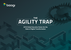 The Agility Trap: 2016 Global Executive Study into the State of Digital Transformation