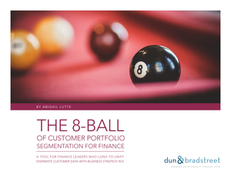 The 8-Ball of Customer Portfolio Segmentation for Finance