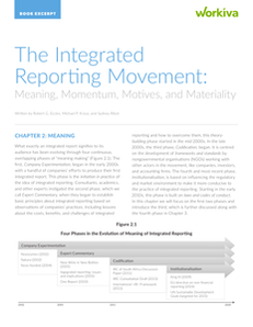 The Integrated Reporting Movement: Meaning, Momentum, Motives, and Materiality