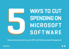 5 ways to cut spending on Microsoft software