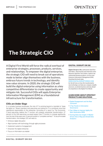 The Strategic CIO