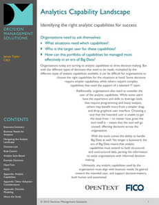 Identifying the Right Analytic Capabilities for Success