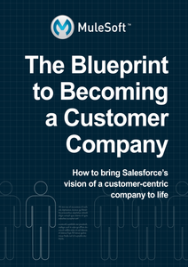 Becoming a Customer Company