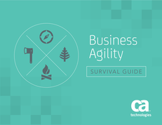 Business Agility Survival Guide