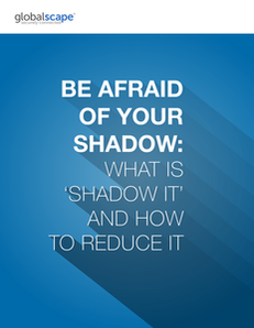 Be Afraid of Your Shadow: What Is Shadow IT and How to Reduce It