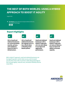 The Best of Both Worlds: Using a Hybrid Approach to Boost IT Agility
