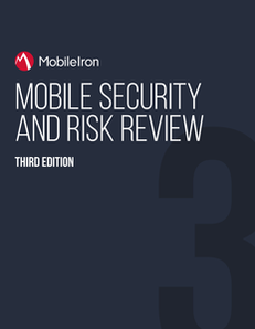 Mobile Security and Risk Review