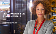 Learn The 5 Critical Steps To A Successful BDR Plan