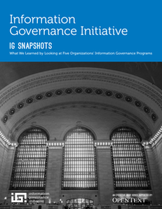 IG Snapshots: What We Learned by Looking at Five Organizations’ Information Governance Programs