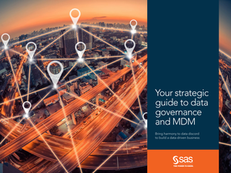 Your Strategic Guide to Governance and MDM