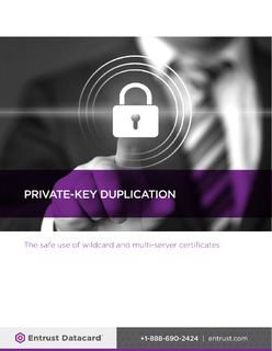 Private-Key Duplication: The Safe Use of Wildcard and Multi-Server Certificates