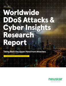 Worldwide DDos Attacks & Cyber Insights Research Report