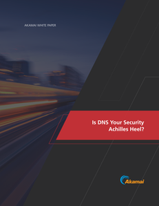 Is DNS Your Security Achilles Heel?