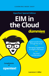 EIM in the Cloud for Dummies