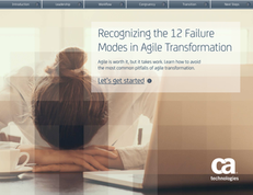 Recognizing the 12 Failure Modes in Agile Transformation