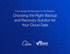 Choosing the Right Backup and Recovery Solution for Your Cloud Data