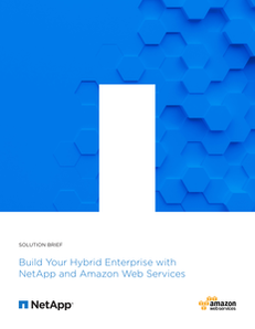 Build Your Hybrid Enterprise with NetApp and Amazon Web Services