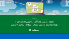 Ransomeware: Is your Saas Data Protected?