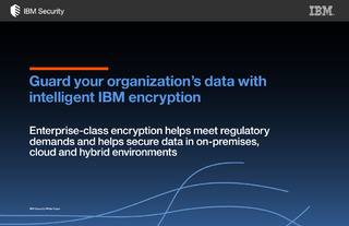 Guard Your Organization’s Data with Intelligent IBM Encryption