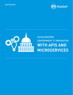 Accelerating Government IT Innovation