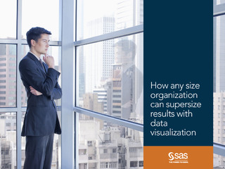 How any size organization can supersize results with data visualization