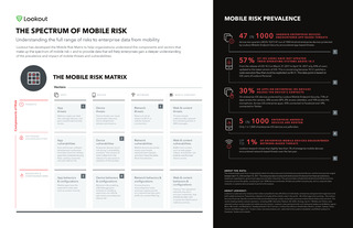 The Spectrum of Mobile Risk